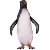 Rockhopper Penguin