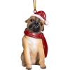 Pug