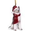 Siberian Huskey