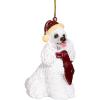 White Poodle