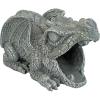 RANIER DRAGON RAINSPOUT(Darian the Dragon)