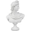 Design Toscano Apollo Belvedere Bust Statue, Single, White Twin(Apollo Belvedere)