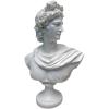 Design Toscano Apollo Belvedere Bust Statue, Single, White Twin(Apollo Belvedere)