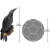 Design Toscano The Raven’s Perch Gothic Decor Wall Sculpture, Single