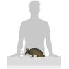 Design Toscano Tank, the Armadillo Garden Statue(Tank)