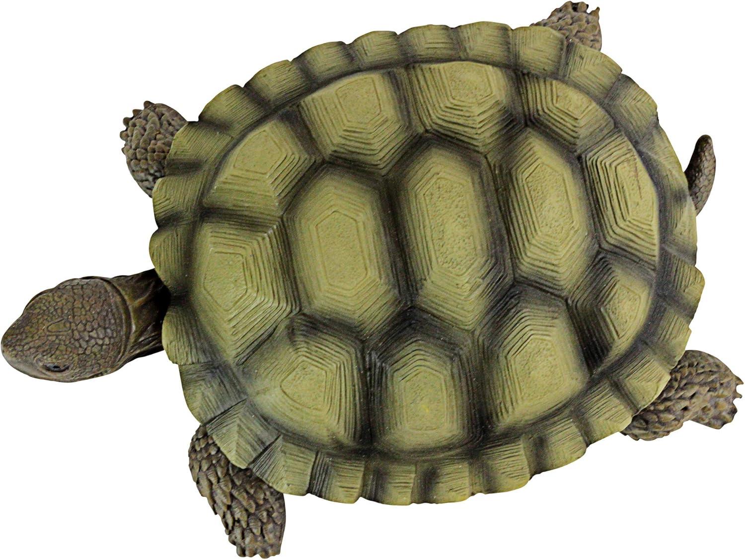 imageDesign Toscano Gilbert the Box Turtle IndoorOutdoor Garden Decor Animal Statue Set of Two 9 Inch Long Cast Stone Resin Green Painted Finish