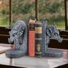 Gray Friar Dragon Bookends(Gray Friar Dragon)
