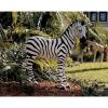 Design Toscano Zora the Zebra Outdoor Garden Statue, 22 Inch, Polyresin, Full Color(Zairen)