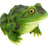 Design Toscano QM20510 Ribbit The Frog Garden Toad Statue, 9″, Full Color(Single)