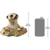 Design Toscano QL57081 Out of the Kalahari Meerkat Garden Animal Statue, 10 Inch, Polyresin, Full Color