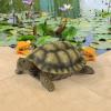 Design Toscano QM1887611 Gilbert the Box Turtle Garden Decor Animal Statue, 9 Inch, Full Color(Gilbert)