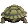 Design Toscano QM1887611 Gilbert the Box Turtle Garden Decor Animal Statue, 9 Inch, Full Color(Gilbert)