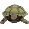 Design Toscano QM1887611 Gilbert the Box Turtle Garden Decor Animal Statue, 9 Inch, Full Color(Gilbert)