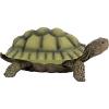 Design Toscano QM1887611 Gilbert the Box Turtle Garden Decor Animal Statue, 9 Inch, Full Color(Gilbert)