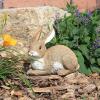 Design Toscano QM200861 Bashful The Bunny Lying Down Rabbit Outdoor Garden Statue, 10 Inch, full color
