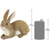 Design Toscano QM200861 Bashful The Bunny Lying Down Rabbit Outdoor Garden Statue, 10 Inch, full color