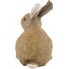 Design Toscano QM200861 Bashful The Bunny Lying Down Rabbit Outdoor Garden Statue, 10 Inch, full color