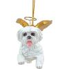 ANGEL MALTESE ORNAMENT(Angel Maltese)