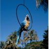 Design Toscano Polly in Paradise Parrot Sculpture on Ring Perch, Large, Twin