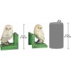Design Toscano SP1601 Bookworm Bunny Rabbits Cast Iron Sculptural Bookend Pair, full color(Wise Snowy Owl)