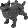 Design Toscano SP1601 Bookworm Bunny Rabbits Cast Iron Sculptural Bookend Pair, full color(Naughty Peeing Dog)