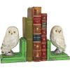 Wise Snowy Owl