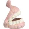 Design Toscano False Teeth Cast Iron Bottle Opener(False Teeth)