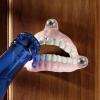 Design Toscano False Teeth Cast Iron Bottle Opener(False Teeth)