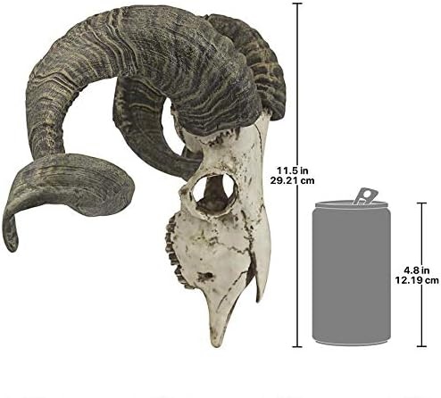 image:imageDesign Toscano Corsican Ram Skull and Horns Wall Sculpture Faux Taxidermy Animal Trophy 19 Inch Cast Stone Resin Painted Bone Finish