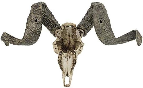image:imageDesign Toscano Corsican Ram Skull and Horns Wall Sculpture Faux Taxidermy Animal Trophy 19 Inch Cast Stone Resin Painted Bone Finish