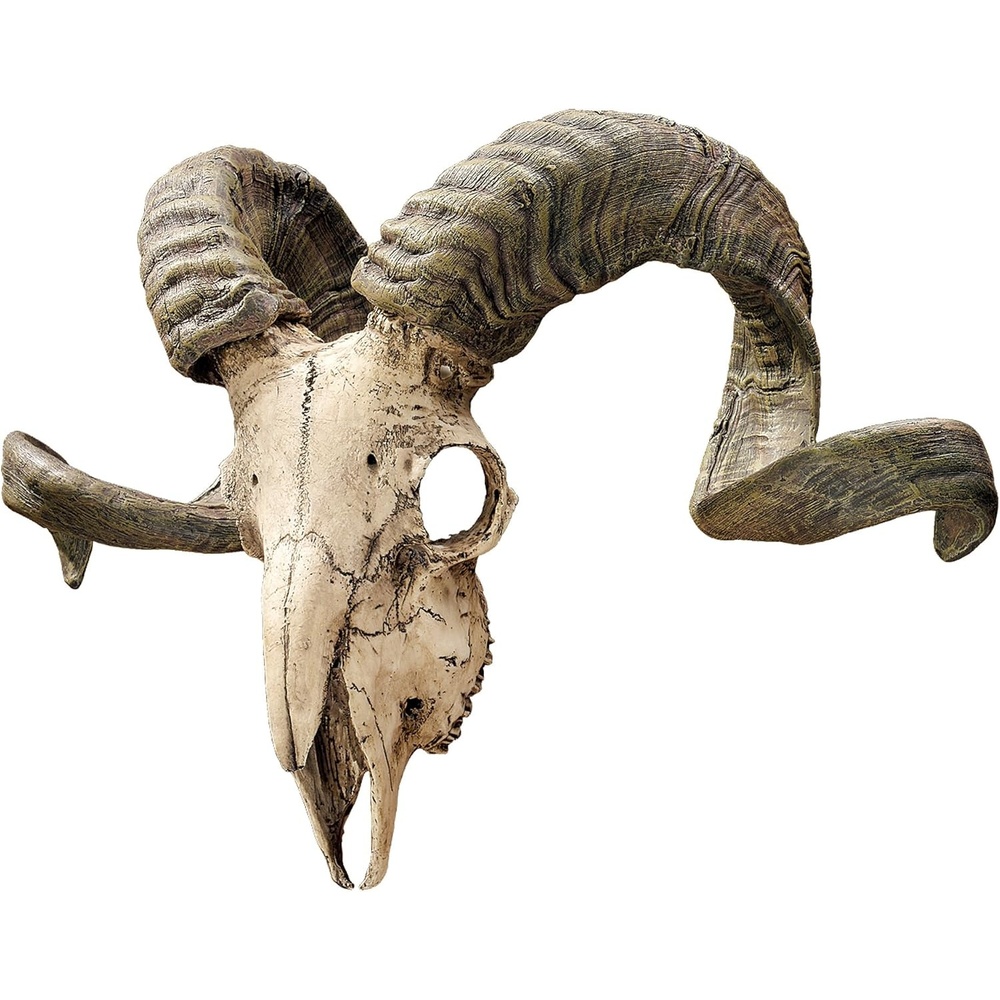image:imageDesign Toscano Corsican Ram Skull and Horns Wall Sculpture Faux Taxidermy Animal Trophy 19 Inch Cast Stone Resin Painted Bone Finish