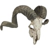 Design Toscano Corsican Ram Skull and Horns Wall Sculpture Faux Taxidermy Animal Trophy, 19 Inch, Cast Stone Resin, Painted Bone Finish