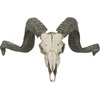 Design Toscano Corsican Ram Skull and Horns Wall Sculpture Faux Taxidermy Animal Trophy, 19 Inch, Cast Stone Resin, Painted Bone Finish