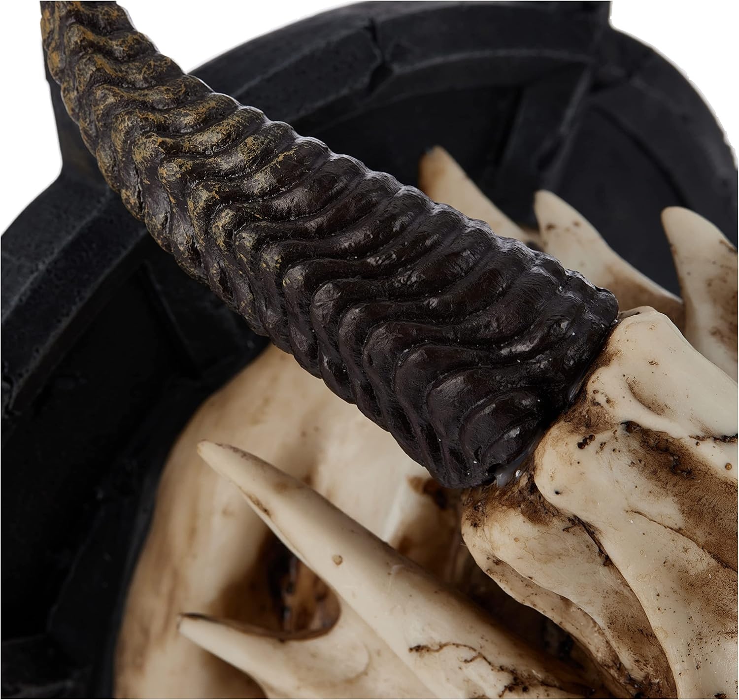 image:imageDesign Toscano Horned Dragon Skull Wall Trophy