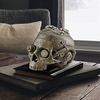 Design Toscano CL6067 Steampunk Skull Containment Vessel Gothic Stash Box Statue, Antique Brass