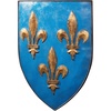 Design Toscano Grand Arms of France Wall Shield Collection- William of Normandy Shield(Fleur de Lis)