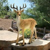 Design Toscano Woodland Buck Deer Statue(LY88195 Buck Deer)