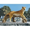 Design Toscano Woodland Buck Deer Statue(Leopard’s Kingdom)