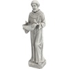Design Toscano Francis of Assisi Reflection Pool Outdoor Garden Statue Birdbath, 7 inches wide, 16 inches tall, Cast Stone Resin, Antique Stone Finish(Antique Stone)